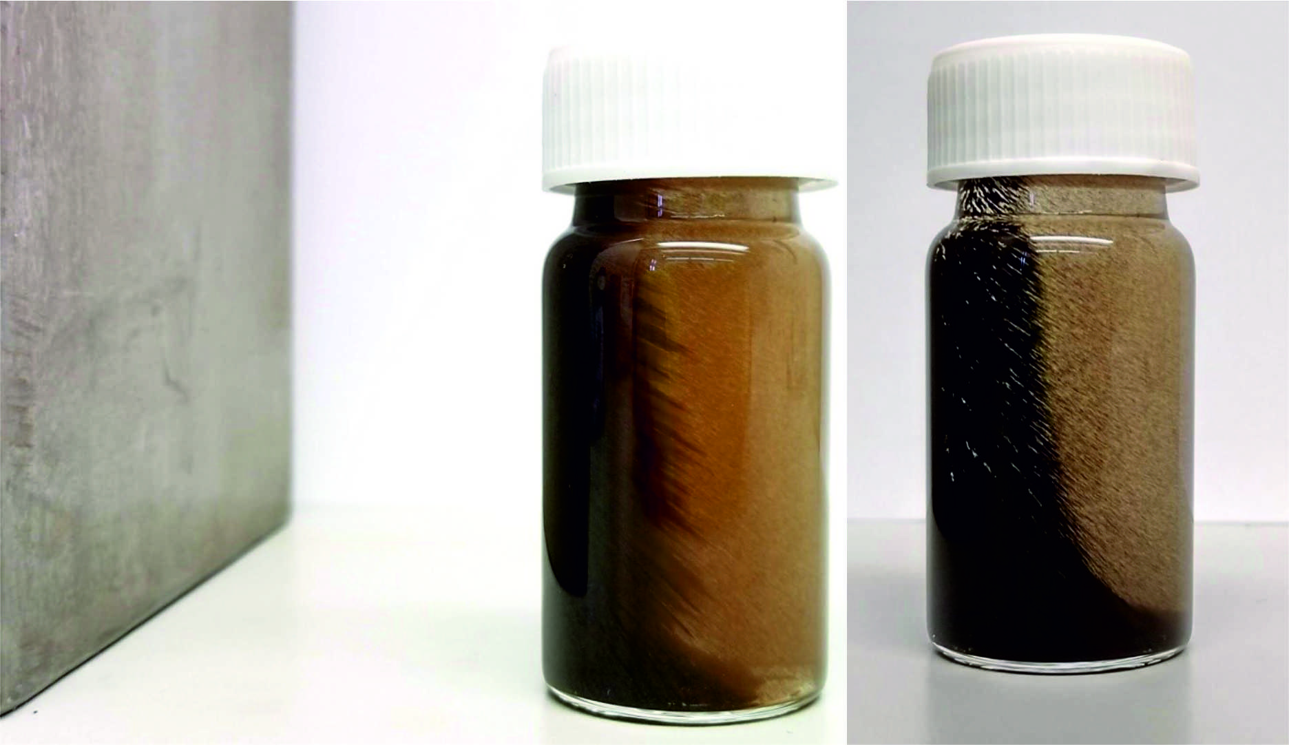 Example of sorbents extraction with captured PAHs